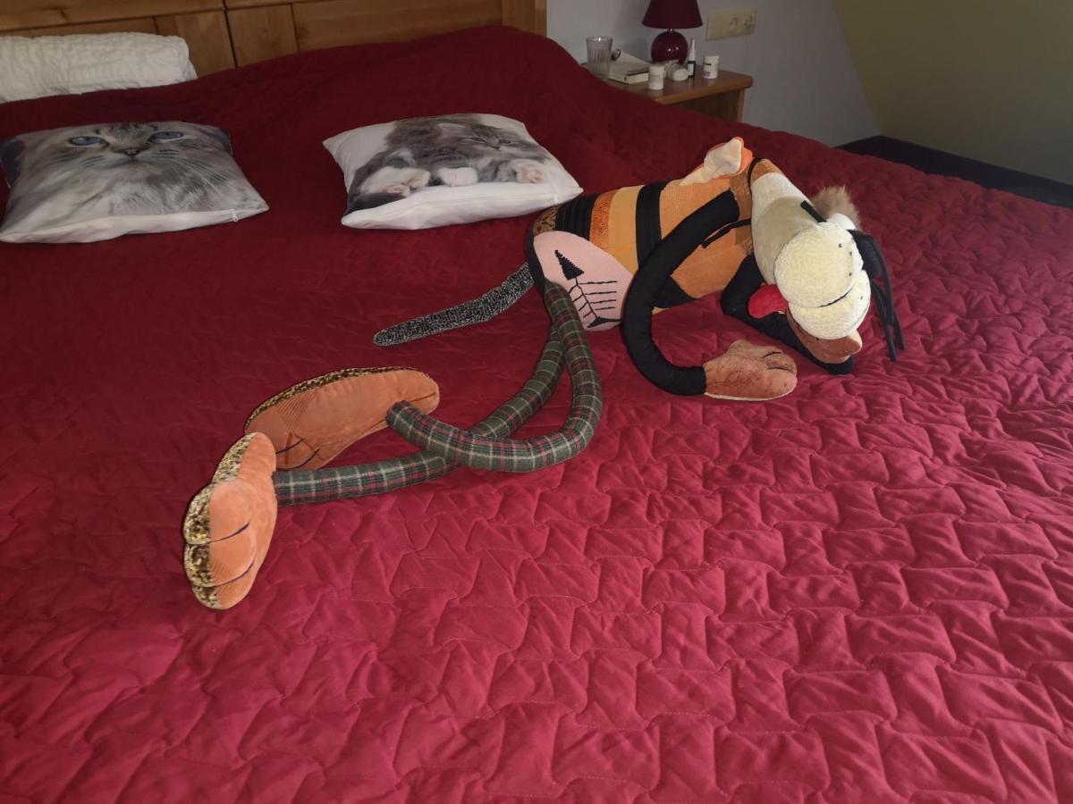Hotel Senlici Γιέλγκαβα Εξωτερικό φωτογραφία